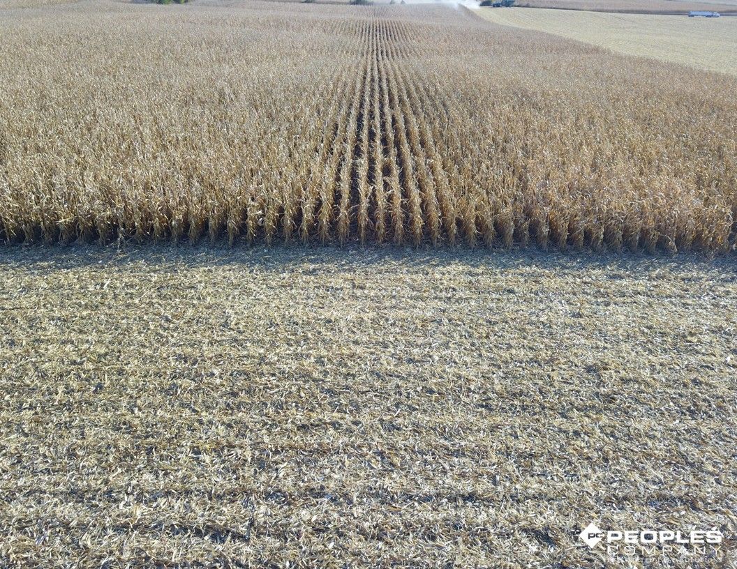 Listing Photo: Freeborn County Minnesota Farmland For Sale